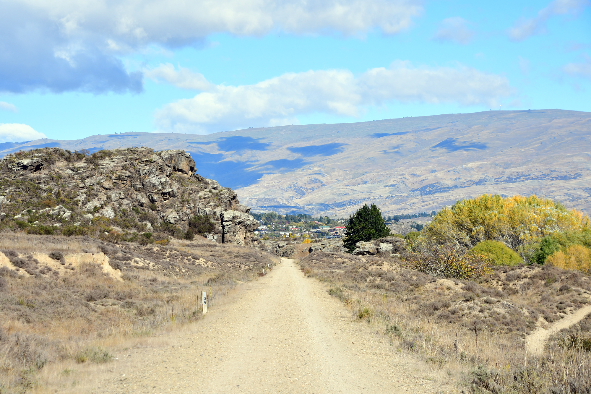 NZ