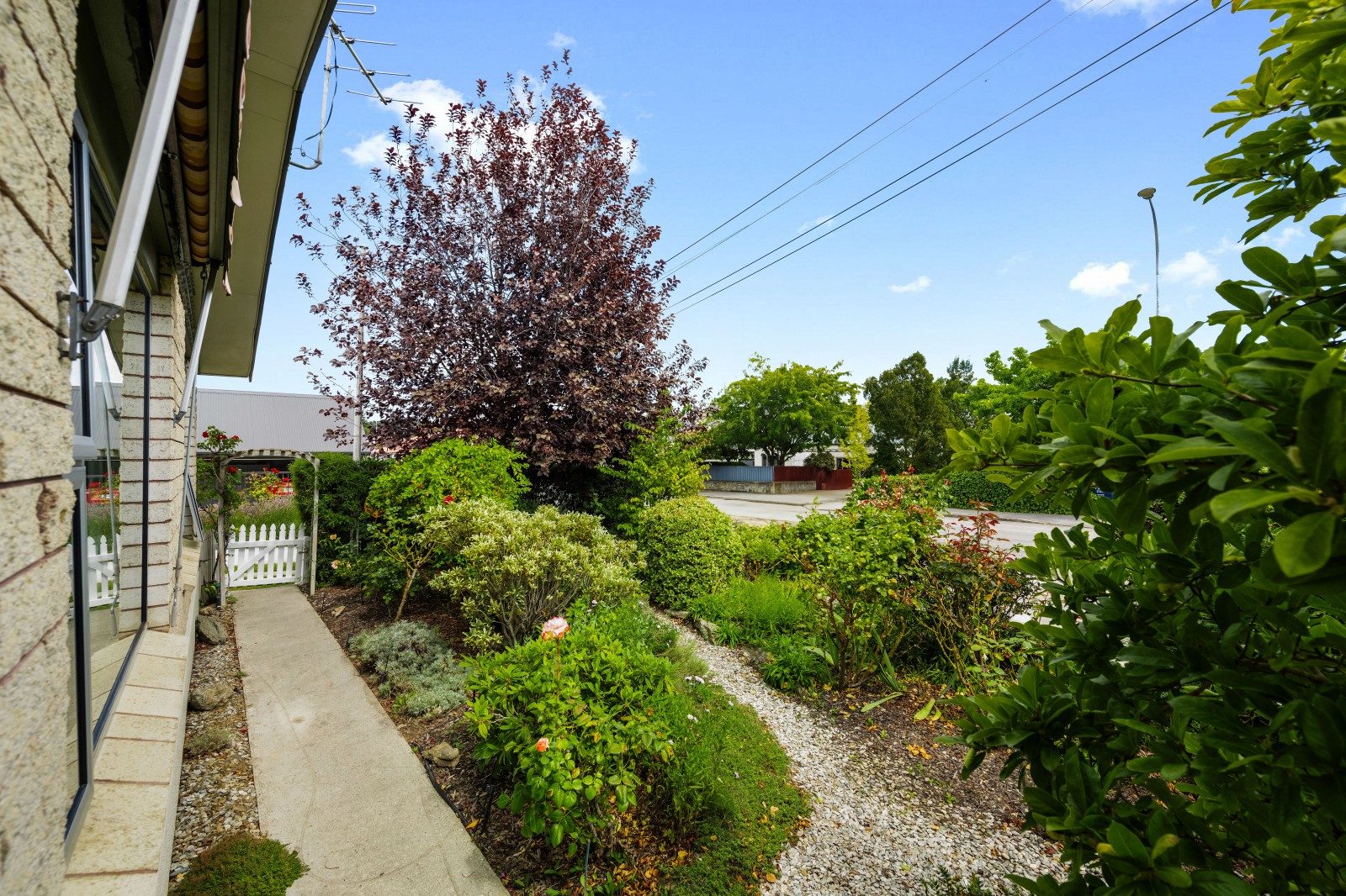 Front garden